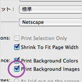 Mac OS X Netscape 設定画面